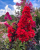 1a63ff24b2eec7e1221bfe7b6b09e739.png