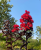 690ff984286720657349024524a75061.png