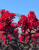 631c315dc497d10ccebcdb281b4c806a.png