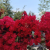 acb44c2a9024ba38ea513dbba21001bd.png