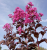 462f6c34008859183dbfc77ab6380aff.png