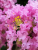 5f57505b66f00066d124284aaeef1189.png