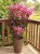 95f8a8b1a49d306c50be1ee37871fdc5.jpg