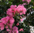 1e38710f299ea7db8d2a2ba5a0fbf95d.png