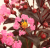 d6186779f626ca202c133c87e8141df2.png