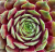 e73b15b884fa3dc634d938657151e9a0.png