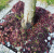 d356c70aa6c3fbc51b980706c6a2989c.png