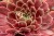 291f925a78a50c84b7b700bf8b4b103a.jpg