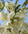 377fbe748fd91f7f1f11f453a0410e27.png