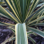 c2dbb008f8440c109b489daa93cb387f.png