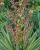850922287cf88307dbf3b5840783595d.png