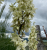 2e274a019532a92d667c09b95df292aa.png
