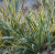 4cbd694864c6a4fc3a1a2770a6eaea1d.png