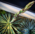 6c36ab6e1e7074d948a9ccb7e609f14d.png