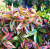 511cf34a7d1ed92a4c518d2a62444963.png