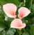 3d377dc1b806403b320059cd3f86baf2.png