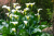 a61c1c3995439b2075afc75103fe82b4.png