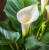 5810def2a9c25c19c3f364711c41d078.png