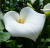 b7bb623ae42267876513c6a7919273e3.png