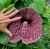 6681f1c38ce7375873c006c9d7f970dd.png