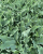 6f850fa05c3e4178365ce318f5aa8fc6.png