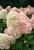 8074e6d20224d09bf1c5601e92ceb035.png