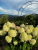 36fe4ec710683ce33899ad835f64c4a1.png