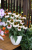 e40f0f85c449bd3547d76c83fcfc7a20.png
