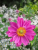 ef9e721a67d1e294ec8696a09af3484b.png