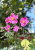 3badbdf2dbacbe02940fc61a9d319ae6.png