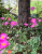 809be1e02de2fc858d372277b05095b7.png