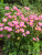a6fdf6c35f573293d83c5c1bc627db03.png