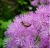 0ca25b3fc0a09446b61ba4a7eef0b540.png