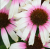 30a45f510b3c77e1d21e85057dbba614.png