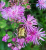 926ec2c171f500ba37c170b834c4943c.png