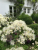 b09a10e79ab24ed438c4c1bc0d16c165.png