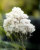 4775f9466bdc44561127ae8fa615e776.png