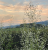 a0feac738ca88bd5ab48f23f6bd54401.png