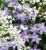 baa507b54adff91e4d8b5bd5d44b9364.png