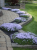 d9f267acddbf1dc7b8c151fbfbb3c170.png