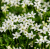 ebb80800b341848edda26c7faa253a7b.png