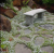 ef1ce794295cc9962d4a9822b58f0d2f.png