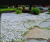 134ca8e5ca4784539f26ca589f43c687.png
