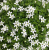 0e031723e5788d2875b92b37dcc5cda0.png