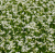 d93a44ec07629a35325798ae59902ca5.png