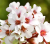 d19bc348d5c28215e713c97ce841e2fc.png