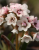 2e7205bea7e6a290a3aef083b5f8d13b.png