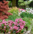 2db4300318937a3784348ded378c8909.png
