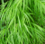 5638ec3f64d897b1932fb5023c8f75db.png