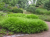 81208341ee9a35f39bdb50e1f1eeafdf.png